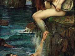 이올렛 양에게 보낸 편지