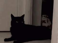 넌씨눈이 소설에 빙의하면 +