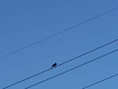 [GL][단편] 겨울여름, 너와의 회고록 1