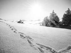 붉은 미소 10 [完]