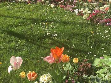 [사쿠아츠 장편] 백일의 황후님_09