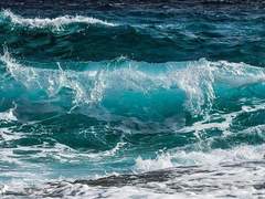 휴머노이드 비비