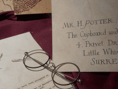 동백꽃은 사랑 그 자체