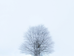 [준호영우] Every moment of Us : 이상하지만 아름답고, 낯설지만 사랑스러운 연애_#5