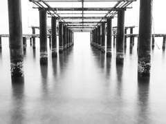 어둠을 환영하는 사람은