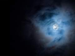 [카나마후] 아홉 개의 꼬리를 가진 여자친구