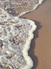 썸머타임 블루스