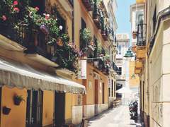 [올가바네] 달빛 아래의 맹세 — 데이트 외전