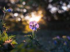 한 치의 흐트러짐 없는 미소