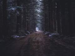 [루스터행맨] 잃어버린 세계