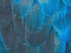 [커미션/마블 드림] Blue Theory