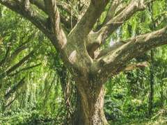 움직이지 않는 자들의 추앙자