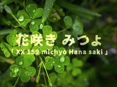 【 친애하는 행운의 여신님! 】 花咲き みつよ