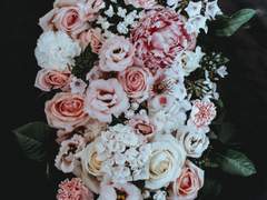 고요의 한낮, 지극한 애정, 박애의 잎새