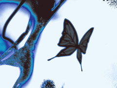 [당보청명일소] 신룡이 머무는 난 (4)