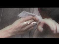 [킨택] 부잣집 고양이