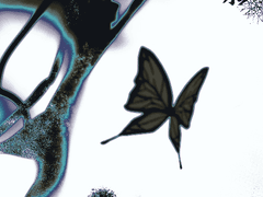 [당보청명청문/암존검존] 무제 (4)