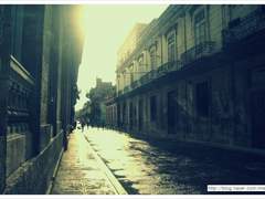 밤이 오기 전에