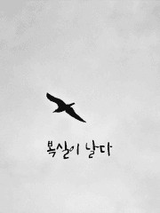 복실이 날다의 시작하는 시