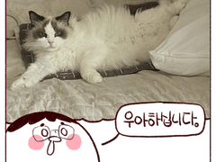 쥬비뚜비일기 23화