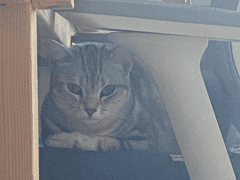 쥬비뚜비일기 25화