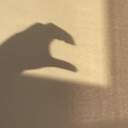 𝚃𝚢𝚙𝚎𝚆𝚑𝚊𝚝