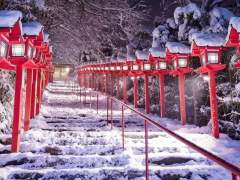 [신시호] 설연(雪緣) 上