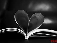 보가트. 나의 두려움.