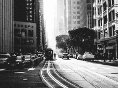 흑백의 동상이몽:사상누각(沙上樓閣)