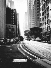 흑백의 동상이몽:同床異夢