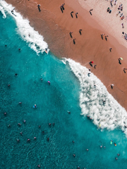 시드니는 서울보다