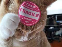 127막내 김여주 모먼트 EP.41