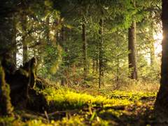 [디미레스] 진정으로 너를 빛나게 하는 것.(#01)