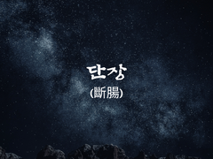 단장斷腸 5화 : 닿으리라.