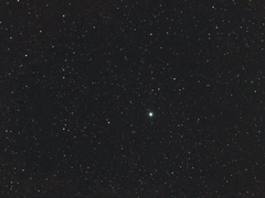 바라던 곳이 낙원은 아니었으나