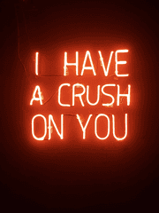 CRUSH ON YOU!