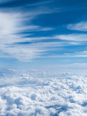 가벼운 의식의 흐름글