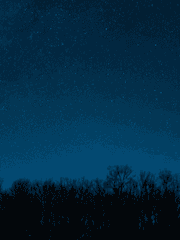 정령의 아이] 미래로