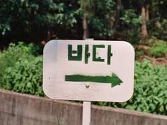 컬러 필름사진 네컷! 동해안을 걸으며.