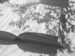 점철된 여음과 잿빛 잔광