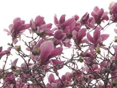 왜 이렇게 따뜻함을 일으키는지 고민을 좀 해봤다