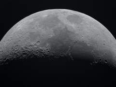 더미 데이터: BABEL20770904