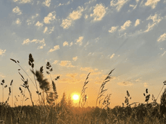 밤이 없다면 신을 안 찾으니까.