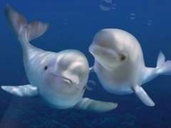 [준호영우/영우준호]이상한 변호사 우영우 ep.1-3