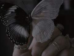 껍데기만 같은 가짜