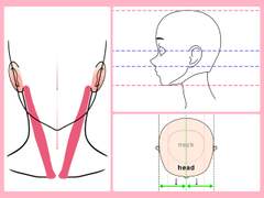 【 Live2D 】 입체적인 고개 회전 모델링 TIP 자료