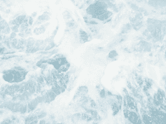 🌊 통합공지 (V-09.15)