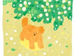 몽글몽글 낙서장 1~8