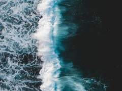 NEVERTHELESS: Hangman 02