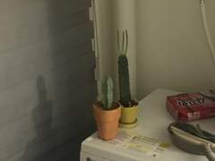 한 번이라도 나와 담배를 피워본 적 있다면